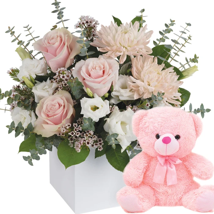 Pretty Pink Arrival