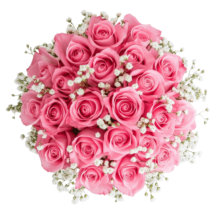 Blush Charm