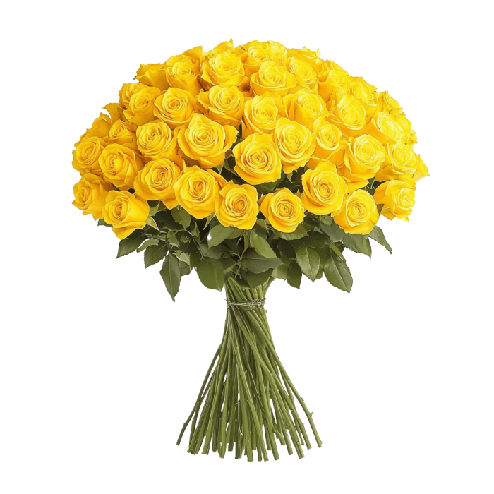 Gracefully Yellow