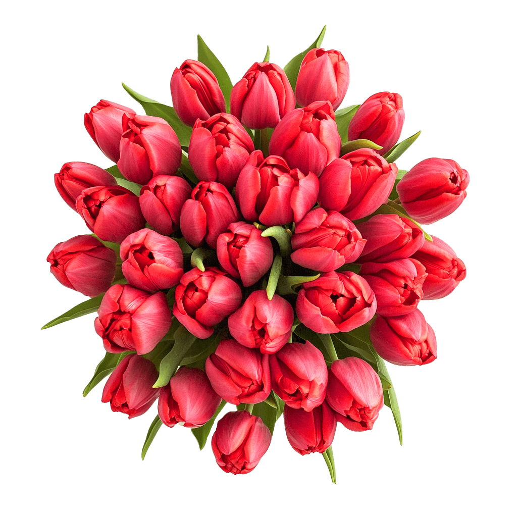 Scarlet Devotion