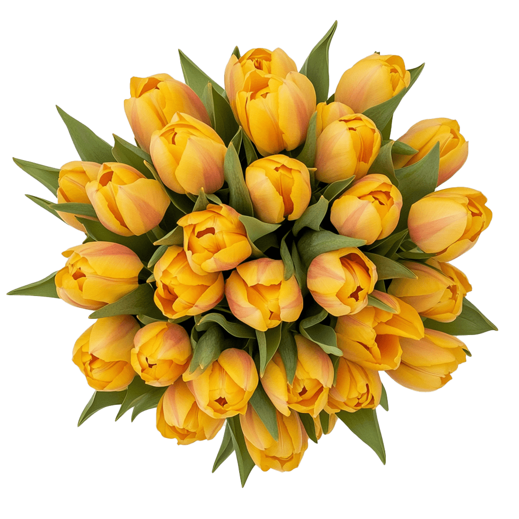 Golden Cheer